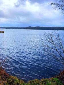 Naturlandskap nära vandrarhemmet