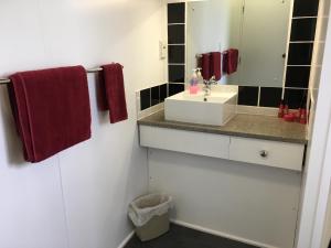 La salle de bains est pourvue d'un lavabo et d'un miroir. dans l'établissement Thornton Lodge Motel, à  Waipukurau