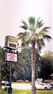 a palm tree in a parking lot with a sign at Relax Inn Savannah in Savannah