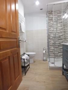 a bathroom with a toilet and a glass shower at Casa Rural el Enebral en Potes Picos de Euopa in Colio