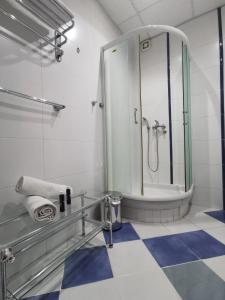 uma casa de banho com um chuveiro e um lavatório. em Panorama Apartman em Novi Sad