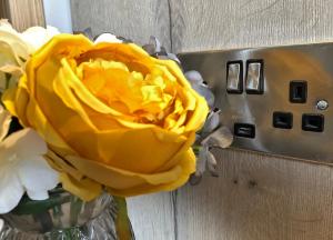 a yellow flower in a vase next to an elevator at McNaughton Guestrooms in Ballymena