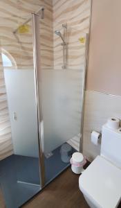 ein Bad mit einer Dusche und einem WC in der Unterkunft Hotel Prados in Lugo