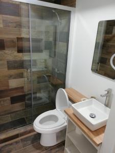a bathroom with a toilet and a shower and a sink at Departamentos Santa Bárbara in Osorno