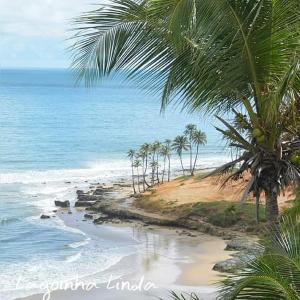 vistas a una playa con palmeras y al océano en Pousada Meu Paraíso, en Lagoinha