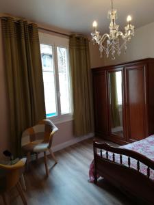 um quarto com uma cama, uma cadeira e um lustre em Appartement 2 chambres 52 m2 centre ville em Vendôme