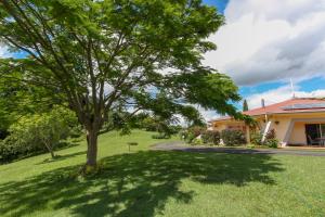 Giardino di A view of Mount Warning