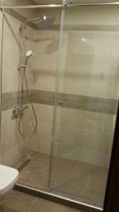 a shower with a glass door in a bathroom at Business Wohnung zur Kurzzeitmiete für Geschäftsreisende in Karlsruhe