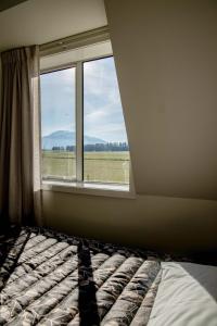 a bed in a room with a window at Southern Cross Lodge Methven in Methven