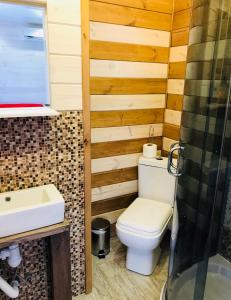een badkamer met een toilet en een wastafel bij Эко отель Прованс Одесса in Odessa