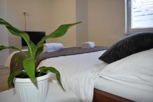 Ένα ή περισσότερα κρεβάτια σε δωμάτιο στο Room & 4 Studios - Modern Comfy Central - FREE Netflix