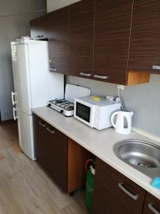 a kitchen with a sink and a microwave and a refrigerator at Hostel Lisięcice in Lisiecice