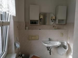 La salle de bains est pourvue d'un lavabo et d'un miroir. dans l'établissement Pension und Bistro" Dat olle Fischerhus", à Ralswiek