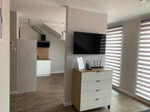 Televízia a/alebo spoločenská miestnosť v ubytovaní Apartamenty Leśna 1