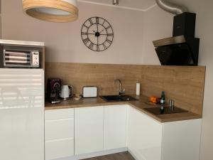 Kuchyňa alebo kuchynka v ubytovaní Apartamenty Leśna 1