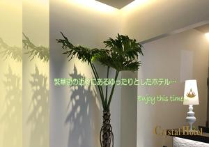 un vaso con una pianta in una stanza di Nippombashi Crystal Hotel Ⅱ ad Osaka