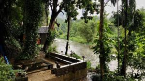 Landskap semula jadi dekat dengan lodge +20 gambar