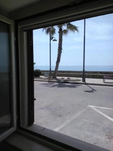 okno z widokiem na parking z palmą w obiekcie Stella di Mare w mieście Santa Maria di Castellabate
