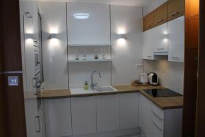 Kuchyňa alebo kuchynka v ubytovaní Quelle-Apartman