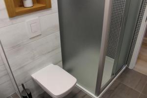 W łazience znajduje się biała toaleta i prysznic. w obiekcie Quelle-Apartman w Győr +8 zdjęć