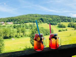 zwei Drinks in Mason-Gläsern auf einem Sims mit Blick auf ein Feld in der Unterkunft Landgut Stetter in Schöllnach
