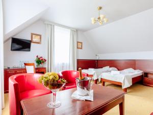 TV a/nebo společenská místnost v ubytování Hotel Skalite Spa & Wellness