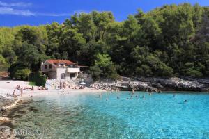 a group of people in the water at a beach at Apartman Dario in Čara