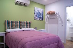マドリードにあるMoncloa room apartmentsのベッドルーム(紫の毛布付きのベッド1台付)