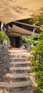 a set of stone stairs in front of a building at Canyon guest villa in Hoedspruit