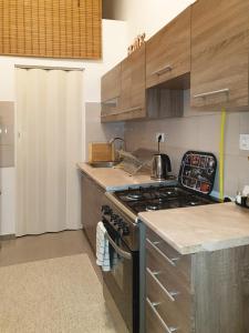 Kuchyňa alebo kuchynka v ubytovaní Apartment in downtown BUDAPEST