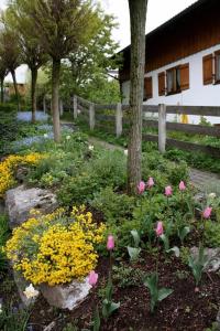 Gästehaus Sonja في دوراتش: حديقة بها زهور وردية أمام السياج