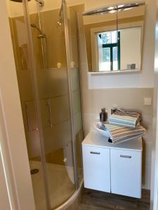 a bathroom with a shower and a sink and a mirror at Kaitzbach-Idylle in Dresden