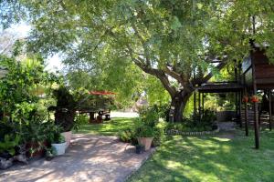 a garden with a tree and a picnic table at Goblin's Creek in St Helena Bay