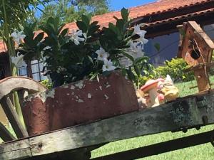 a potted plant sitting on top of a wooden bench at Pousada Chapadão in Ipiabas