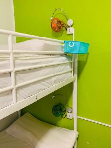 Zimmer mit 2 Etagenbetten und einer grünen Wand in der Unterkunft Oh! My Hostel in Granada