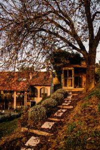 ノヴェッロにあるCasa Baricalinoの木の横の丘の上に座る家