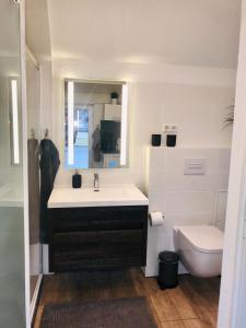 a bathroom with a sink and a toilet at Ferienhaus Hanna in Waren