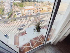 Gallery image of Tropical Apartaments Euroviajeros in Pineda de Mar