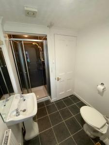 a bathroom with a toilet and a sink and a shower at Millburn in Dunvegan