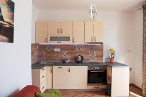 Kuchyň nebo kuchyňský kout v ubytování Apartments Tramonto