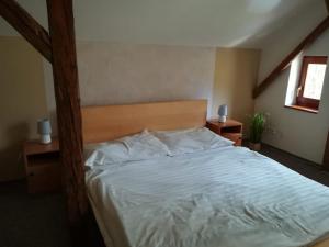 Letto o letti in una camera di Hotel Kralicek