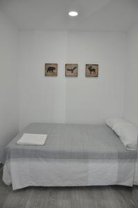 Gallery image of CHECK-IN 24H NUEVO Único WIFI FAMILIAR Centro 3 in Zaragoza