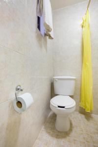 a bathroom with a toilet and a roll of toilet paper at Hotel Villa Hermosa in Oaxaca City