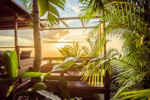 un banc dans un jardin avec le coucher du soleil en arrière-plan dans l'établissement Ré Océan, à Saint-Leu