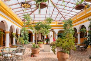 a conservatory with tables and chairs and potted plants at Hotel Casa Margarita in San Cristóbal de Las Casas