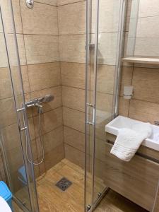 um chuveiro com um lavatório e uma cabina de duche em vidro. em Apartman Dacaa em Podgorica