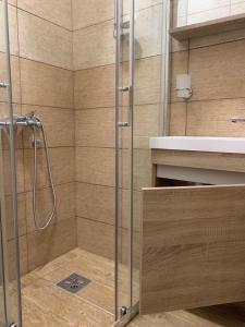 a shower with a glass door in a bathroom at Apartman Dacaa in Podgorica