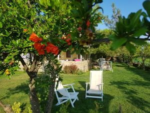 deux chaises blanches assises dans l'herbe sous un arbre dans l'établissement Nar Bağevi, à Bozcaada