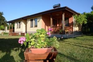 a house with a potted plant in front of it at Лорета-Камен бряг in Kamen Bryag