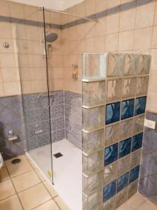 a shower with a glass door in a bathroom at Casas Rurales Los Almendreros in Valverde